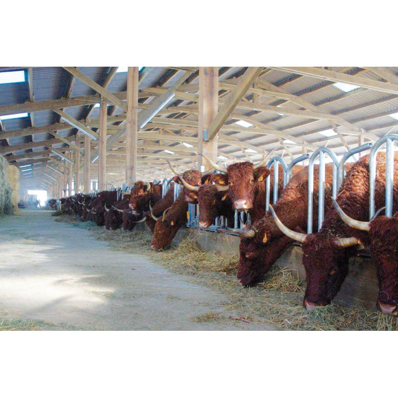 Cornadis PRO Suédois - 4 m/5 places