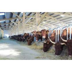 Cornadis PRO Suédois - 4 m/5 places