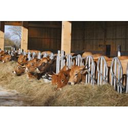 Cornadis PRO Suédois - 5 m/6 places Cornadis PRO Suédois - 5 m/6 places