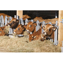 Cornadis PRO Suédois - 5 m/7 places