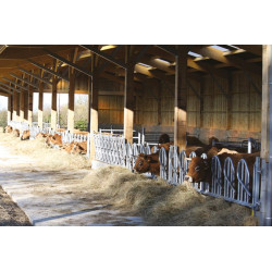 Cornadis PRO Suédois - 6 m/8 places Cornadis PRO Suédois - 6 m/8 places