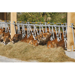 Kit 1 place de cornadis confort SR 