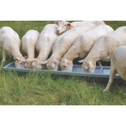 Auge pour petits animaux - 2,45 x 0,33 m