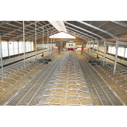 Bat-flanc de logette monopied sur platine pour vache adulte