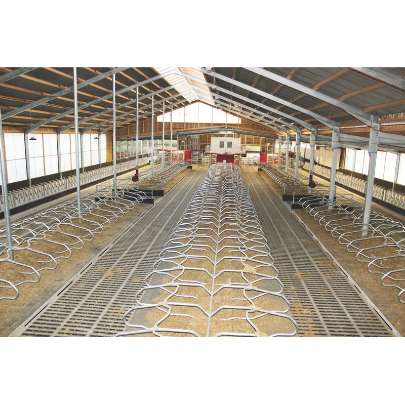 Bat-flanc de logette monopied sur platine pour vache adulte